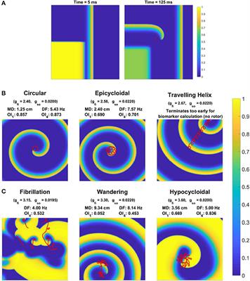 Slow Recovery of Excitability Increases Ventricular Fibrillation Risk as Identified by Emulation